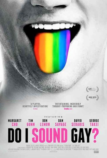 Do I Sound Gay Poster