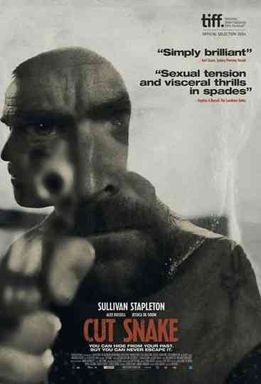 Cut Snake Poster