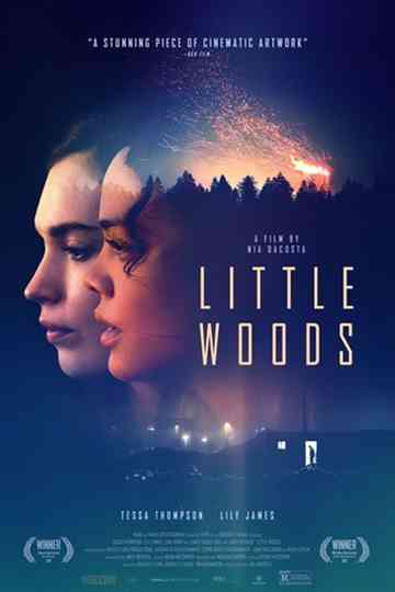 Little Woods Poster