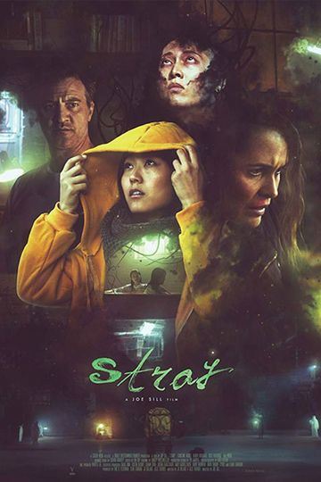 Stray Poster