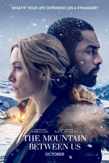 The Mountain Between Us Poster