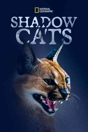 Shadow Cats Poster