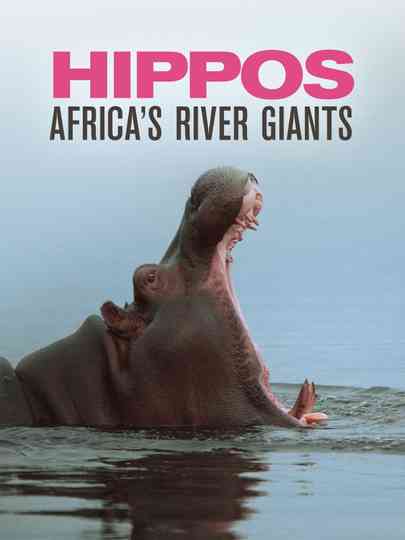 Hippos: Africa's River Giants Poster