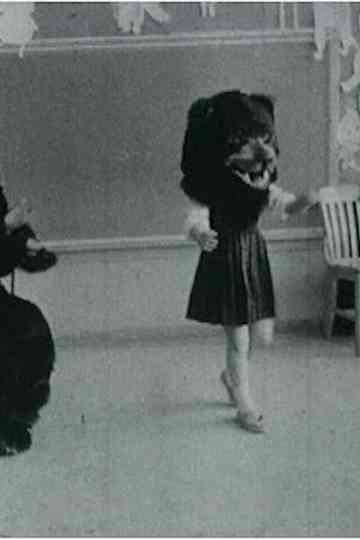 From Sea To Shining Sea Poster