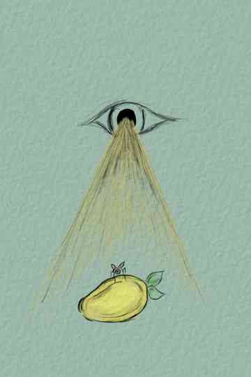 To Be A Fly On Your Mango