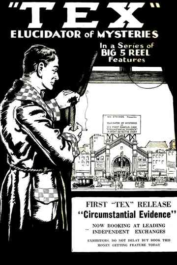 Detective Tex: Circumstantial Evidence Poster