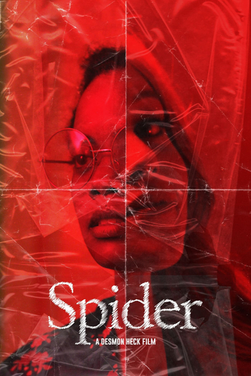 Spider Poster