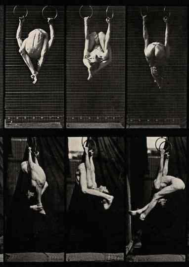 A gymnast performing on the rings Poster