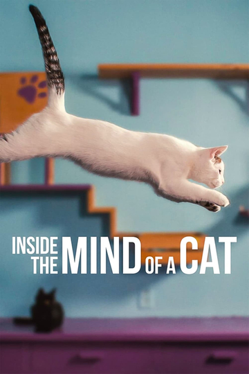 Inside the Mind of a Cat Poster