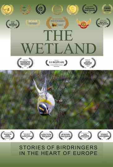The Wetland Poster