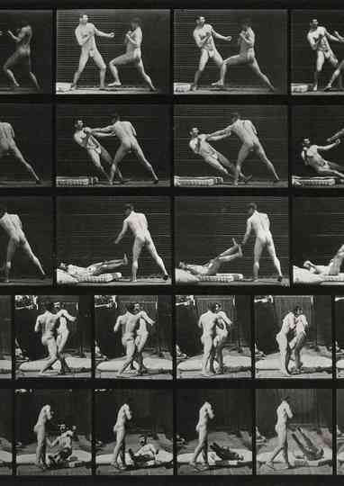 Two men boxing, one falls on mattress Poster