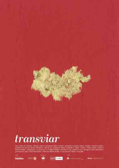 Transviar poster