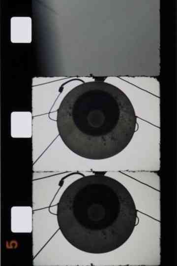 Bologna Turrita Poster