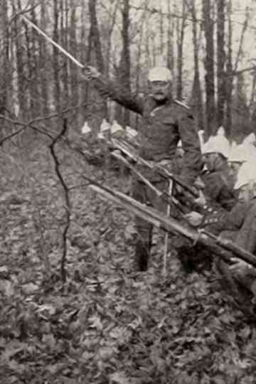 The Crimson Wing Poster