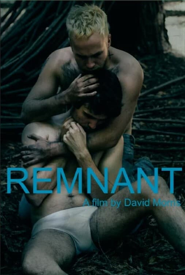 Remnant Poster