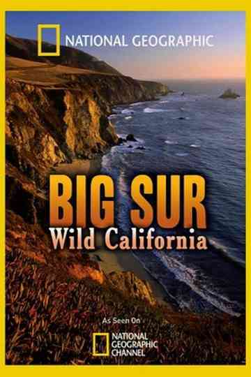 California's Wild Coast poster