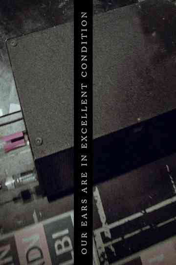 Our Ears are in excellent condition Poster