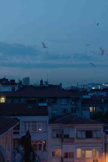 Deceptive Depths Poster