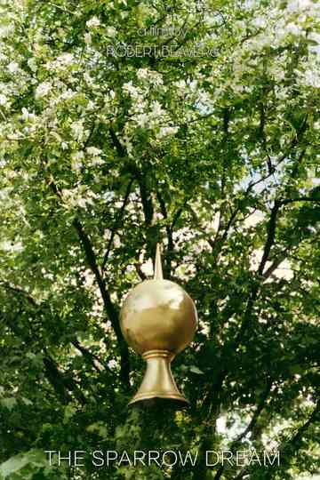 The Sparrow Dream Poster