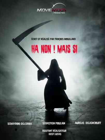 Ha non ! Mais si Poster
