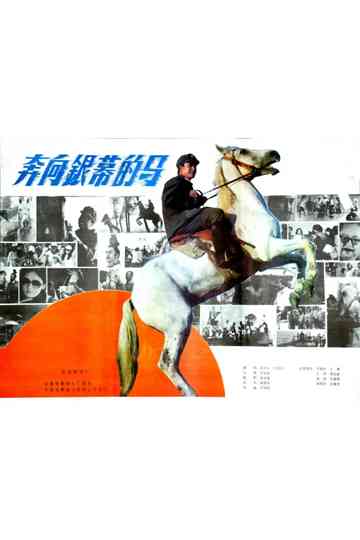 A Horse Galloping Toward Screen Poster