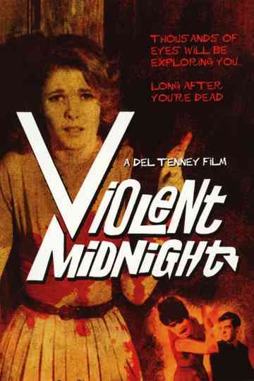 Violent Midnight Poster