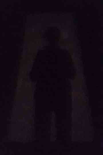 An Image in the Shadow Poster