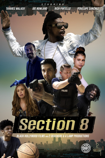 Section 8 Poster