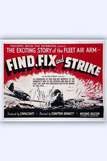 Find, Fix and Strike Poster