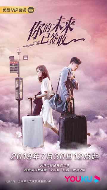 Your Fukubukuro Poster