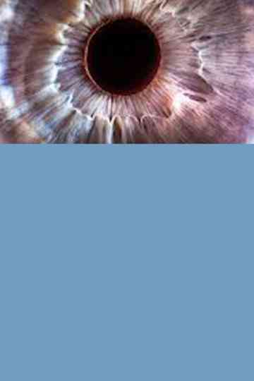 Bigger on the Inside Poster