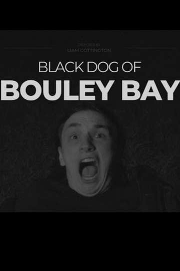 Black Dog of Bouley Bay Poster