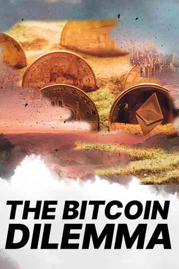 The Bitcoin Dilemma - The Past, Present & Future of Cryptocurrencies Poster