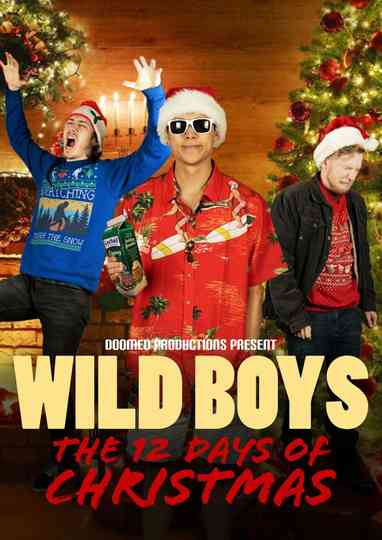 Wild Boys: The Twelve Days of Christmas Poster