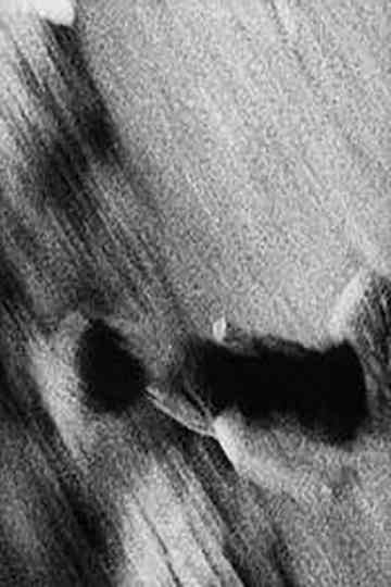 Family Portrait #4 Poster