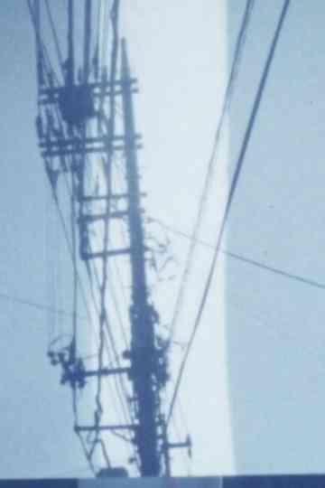 In the Spring Season Poster