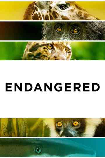Endangered Poster
