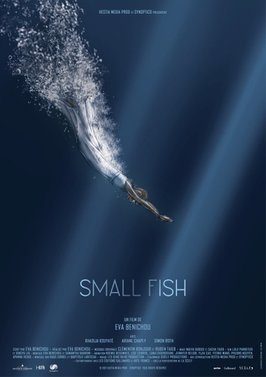 Small Fish Poster