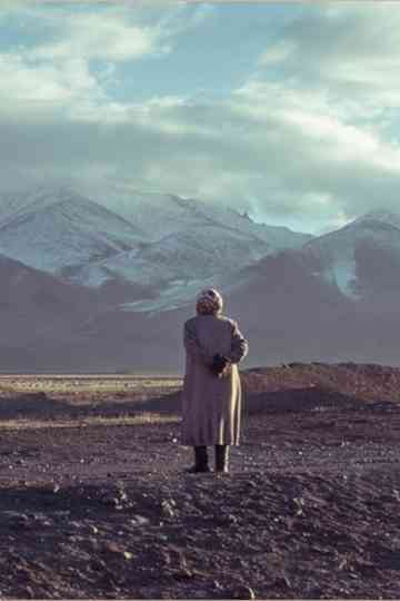 Women Behind the Wheel Poster