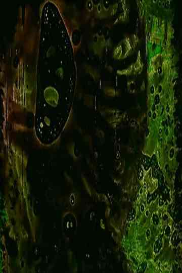 Tamper Oh No (Part II) Poster