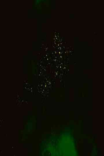 Regatta (Part III) Poster