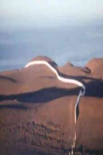 Christo Running Fence Reels Poster