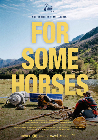 For Some Horses Poster