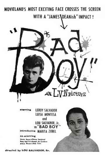 Bad Boy Poster