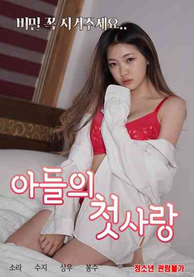 Son's First Love Poster