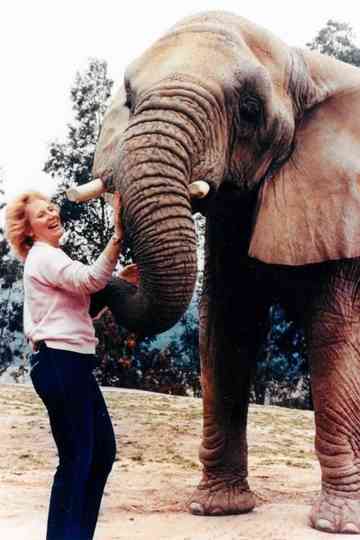 I Talk to Animals Poster