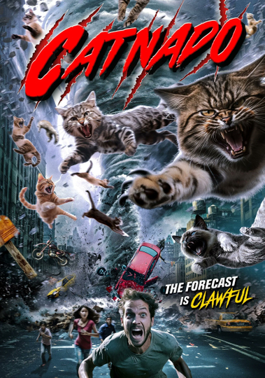 Catnado Poster