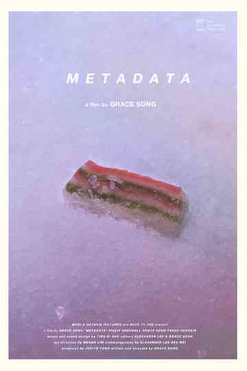 Metadata Poster