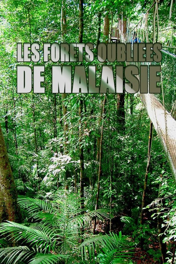 Les forêts oubliées de Malaisie