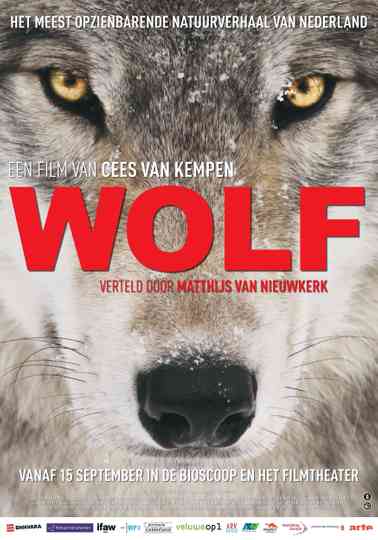 Wolf Poster